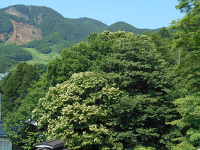 DSCN1043