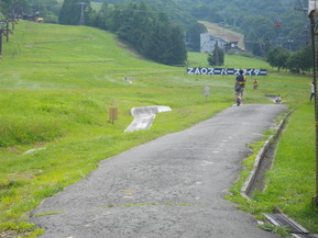 IMGP1462