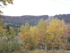 DSCN0848
