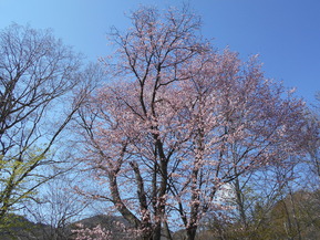 DSCN4078