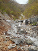 DSCN6478