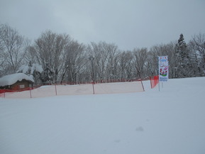 DSCN4924