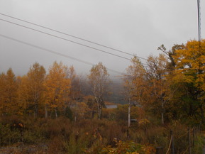 DSCN1014