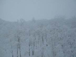 DSCN4595