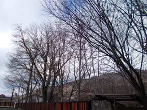 DSCN1466
