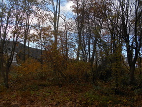DSCN5973