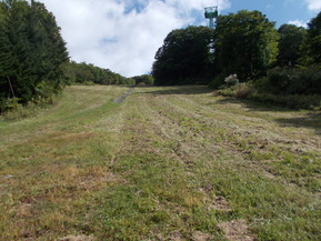 DSCN0677