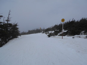 DSCN2313