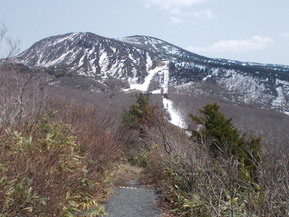 DSCN3922