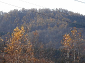 DSCN5964