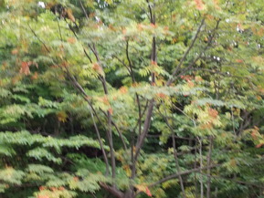 DSCN0150