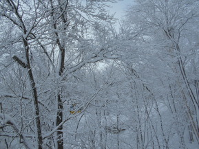 DSCN9160
