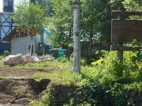 DSCN1073