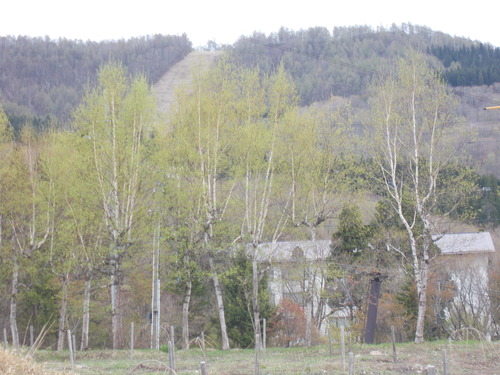 DSCN4007