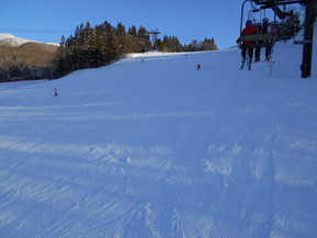 DSCN0520