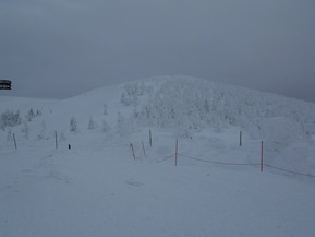 DSCN0610