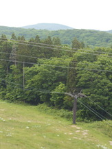 DSCN2324