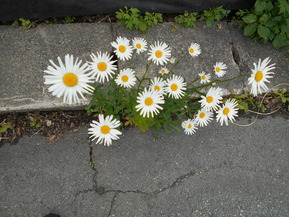 DSCN0823
