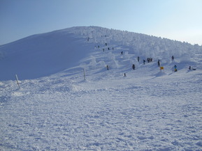 DSCN9319