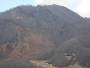 DSCN1517
