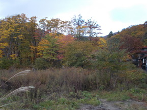 DSCN1068