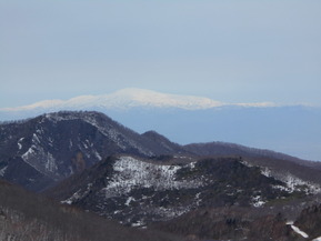 DSCN6256