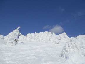 DSCN9695