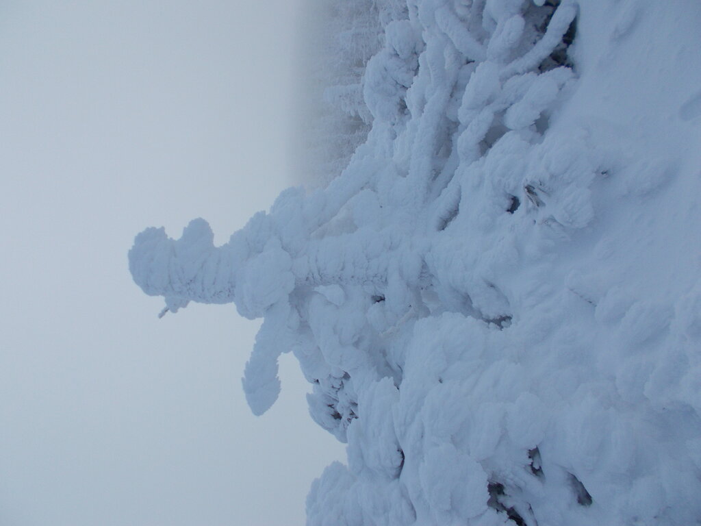 地蔵山頂の蔵王地蔵尊様に参拝して来ました 積雪10cm以上樹氷出来ていました 蔵王温泉スキー場河童のスキー 地蔵山頂の蔵王地蔵尊様に参拝して来ました 積雪10cm以上樹氷出来ていました 蔵王温泉スキー場河童のスキー
