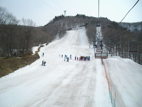 IMGP9004