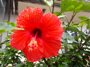 DSCN0147
