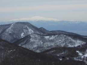 DSCN0647