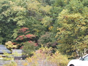 DSCN0812