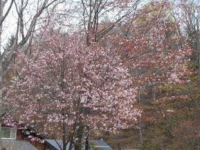DSCN0169