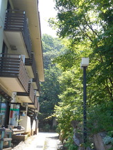 DSCN5019