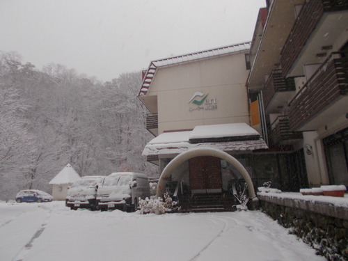 DSCN1310