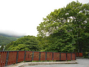 DSCN0891