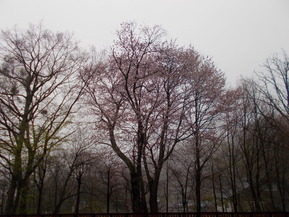 DSCN3902