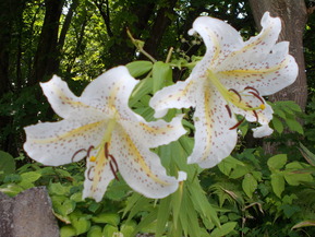 DSCN0169