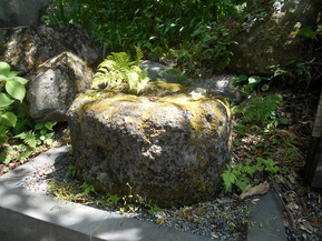 DSCN4721