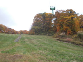 DSCN1040