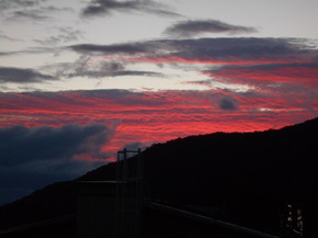 DSCN2782