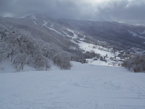 DSCN0731