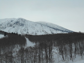 DSCN1061