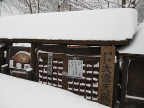 DSCN4580