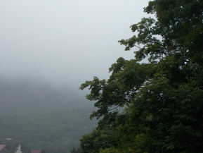 DSCN0428