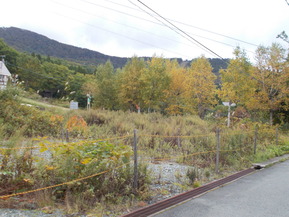 DSCN0756