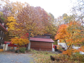 DSCN5827