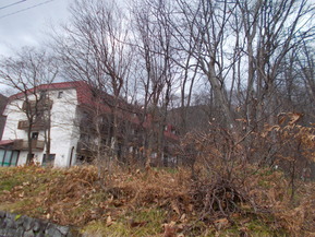DSCN1432