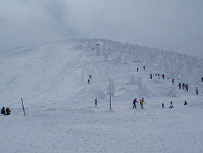 DSCN9534