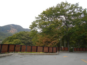 DSCN5471